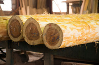 Photo_tpc-thi-lifewithwood-057-photo2